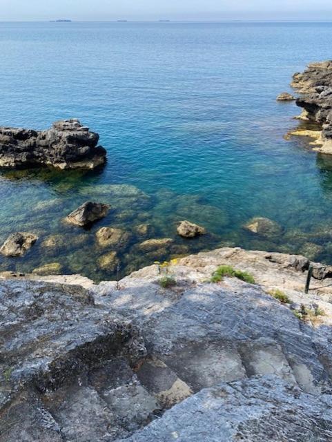 Villa Percy Lubbock Λα Σπέτσια Εξωτερικό φωτογραφία