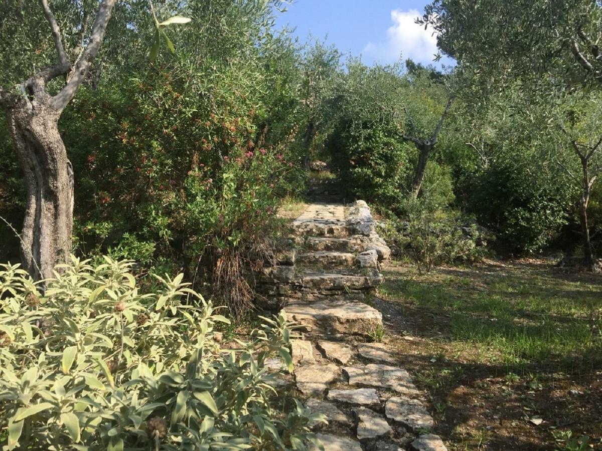 Villa Percy Lubbock Λα Σπέτσια Εξωτερικό φωτογραφία
